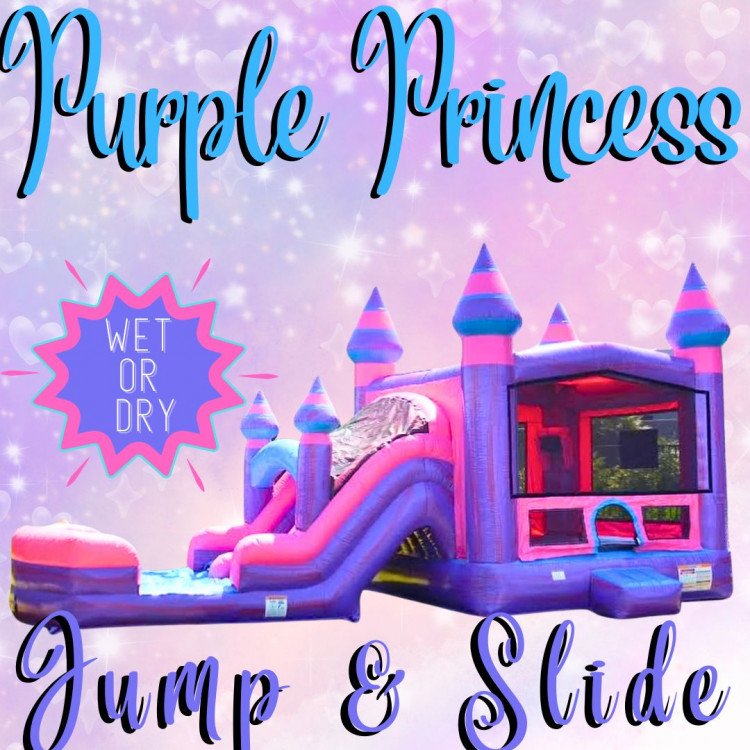 Purple Princess Jump & Slide