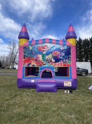 07B8E17D 5656 47D8 941F 525D683B39C2 1677111118 Cotton Candy Bounce House