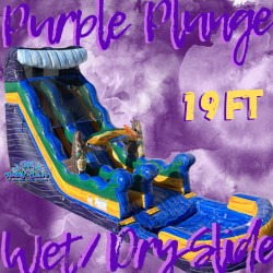 Purple Plunge